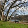 Le Chalet du Parc de la Tête d’Or rouvre ses portes après plus de dix ans de fermeture