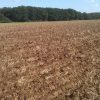 Des vignerons misent sur l’agroécologie pour lutter contre les fortes chaleurs