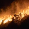 Barizey : un incendie a brûlé 14 hectares de prés et de buissons
