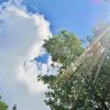 Le Rhône et l&rsquo;Ain placés en vigilance orange canicule ce jeudi