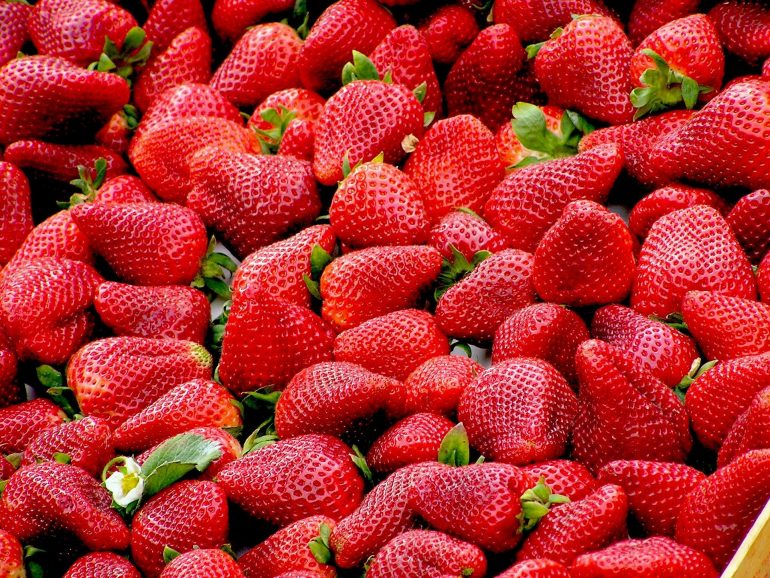 fraises