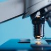 DigitalKin s’associe à la CCI Lyon Métropole pour promouvoir l’IA en recherche scientifique