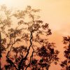 Le risque de feux de forêts et d’espaces naturels est jugé sévère ce samedi dans le Nord-Isère