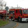 Sauvetage insolite à Tavernay : des pompiers viennent en aide à un veau tombé dans une cavité