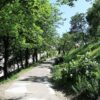 Lyon : un nouveau jardin d&rsquo;enfants inclusif place Edgar Quinet